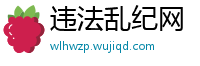 违法乱纪网